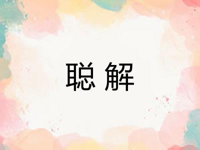 聪解