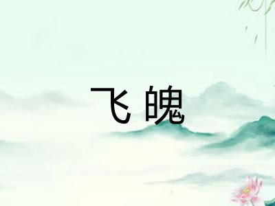 飞魄