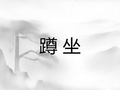 蹲坐