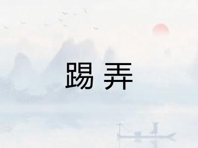 踢弄