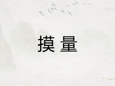 摸量