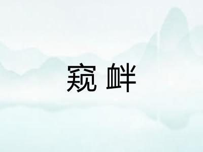 窥衅