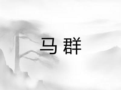 马群 马群