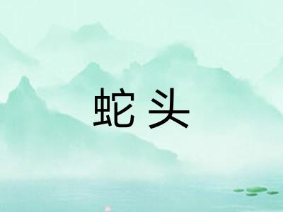 蛇头