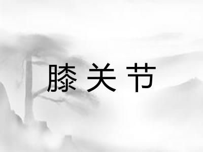 膝关节