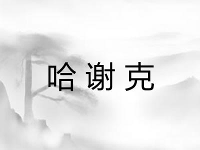 哈谢克