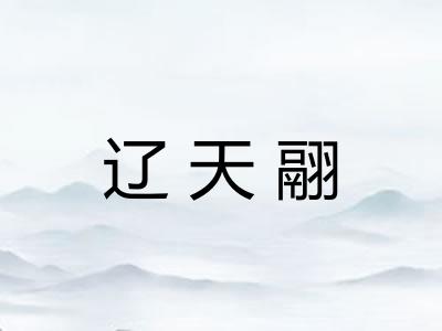 辽天翮
