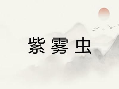 紫雾虫