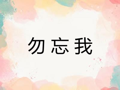 勿忘我