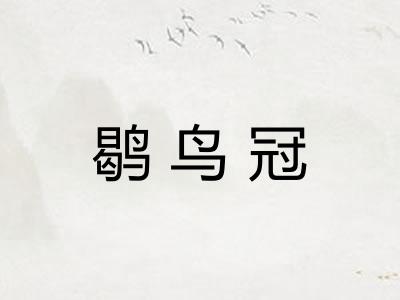 鹖鸟冠