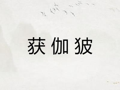 获伽狓