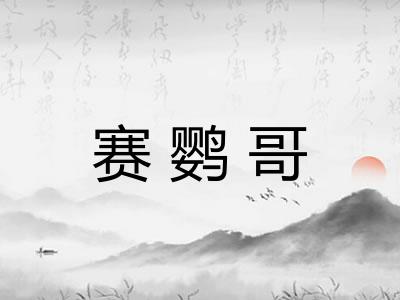 赛鹦哥