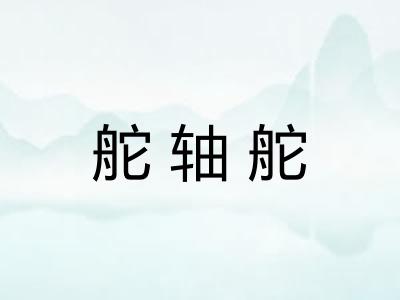 舵轴舵