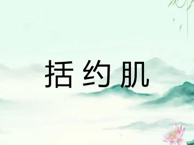 括约肌