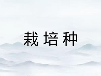栽培种