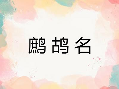 鹧鸪名