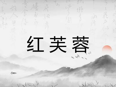 红芙蓉
