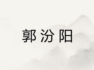 郭汾阳