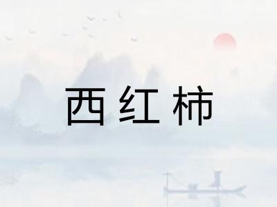 西红柿