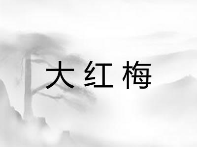 大红梅