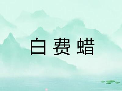白费蜡