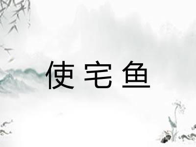 使宅鱼