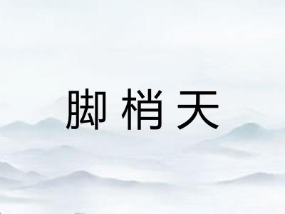 脚梢天