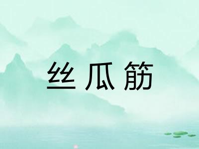 丝瓜筋
