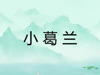 小葛兰