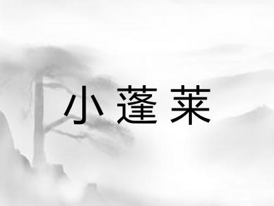 小蓬莱