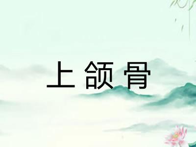 上颌骨