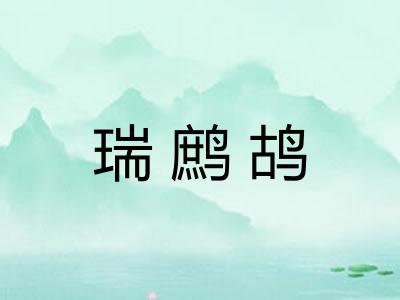 瑞鹧鸪