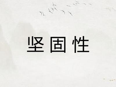 坚固性