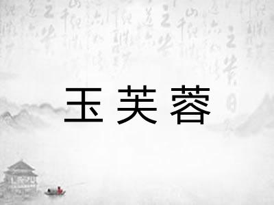 玉芙蓉