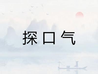 探口气 探口气