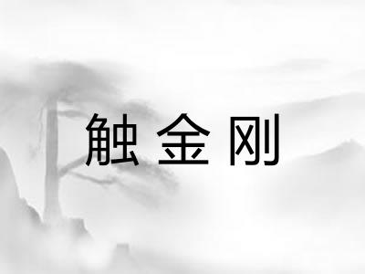 触金刚 触金刚