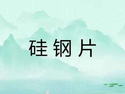 硅钢片