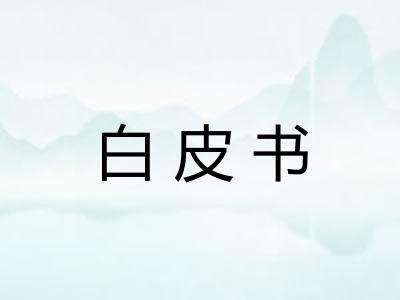白皮书 白皮书