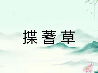 揲蓍草
