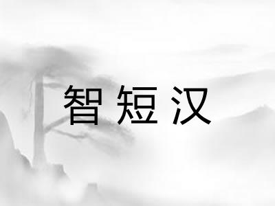 智短汉