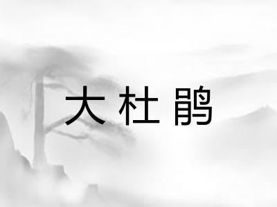 大杜鹃
