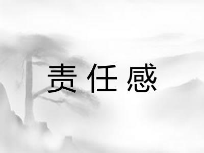 责任感