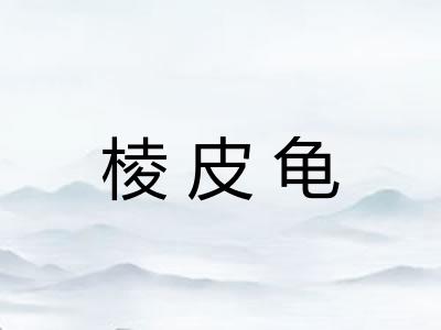 棱皮龟