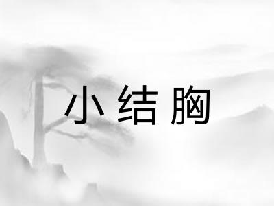 小结胸