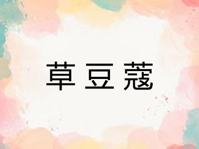 草豆蔻