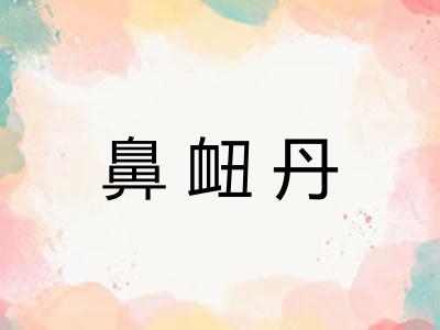 鼻衄丹