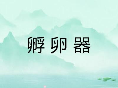 孵卵器