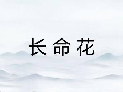 长命花