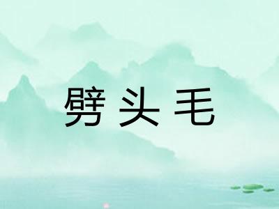 劈头毛