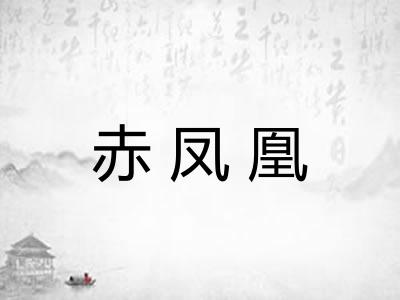 赤凤凰